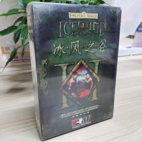 正版 冰风之谷2 简体中文版  单机游戏