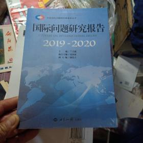 国际问题研究报告（2019-2020），