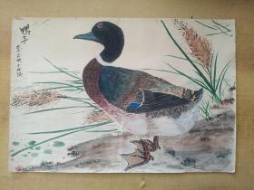 鴨子【繪畫(huà)   李全明  年代自定?。?！包郵】