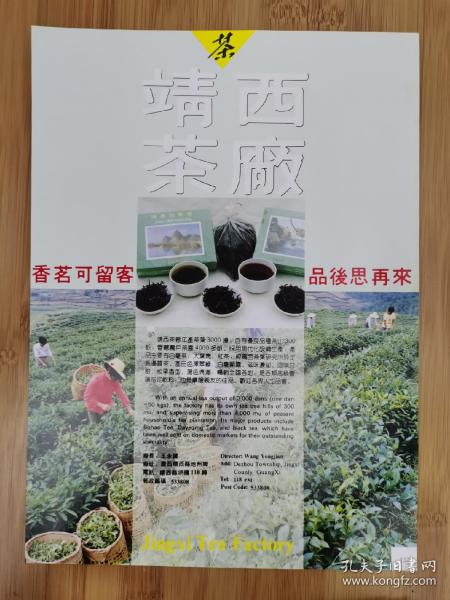 广西资料！靖西茶厂-白毫茶.大叶青广告