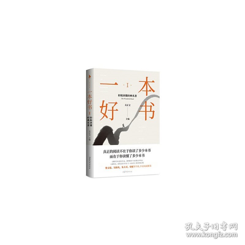 一本好书Ⅰ：轻松读懂经典名著（梁文道、史航、吴伯凡、朱大可等学者作家解读经典名著。教你如何阅读一本 关正文 白马时光 出品 山东文艺出版社 沿海书店