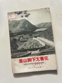 嵩山脚下大寨花