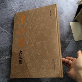 陈初生书法集