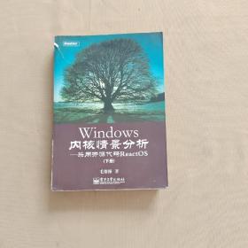 Windows内核情景分析：采用开源代码ReactOS