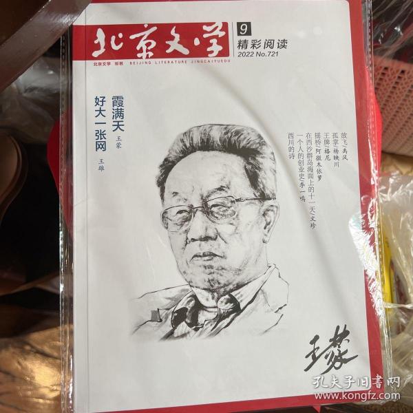北京文学 2022年第4期到第9期联合销售