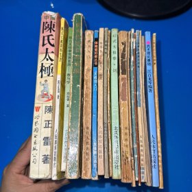 武术19本合售 陈式太极拳养生功、陈氏太极、教与学、武术入门、太极剑入门、二路华拳、实用气功、长拳套路选、42式太极拳剑、南拳、查拳、少林武功剑术、黑虎拳对打、擒拿与解脱、四十八式太极拳 等（内容完整）