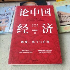 论中国经济：挑战、底气与后劲