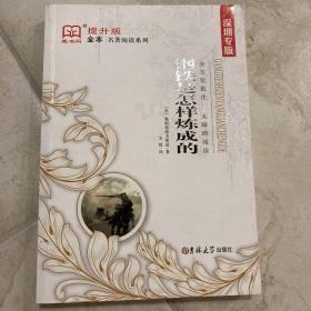 钢铁是怎样炼成的（全译本）