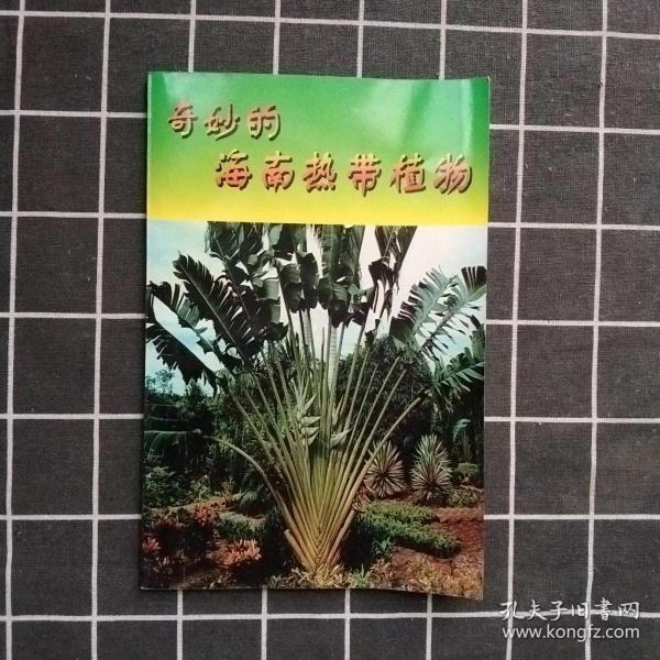 《奇妙的海南热带植物》彩图版 /杨连成 编著 南方出版社