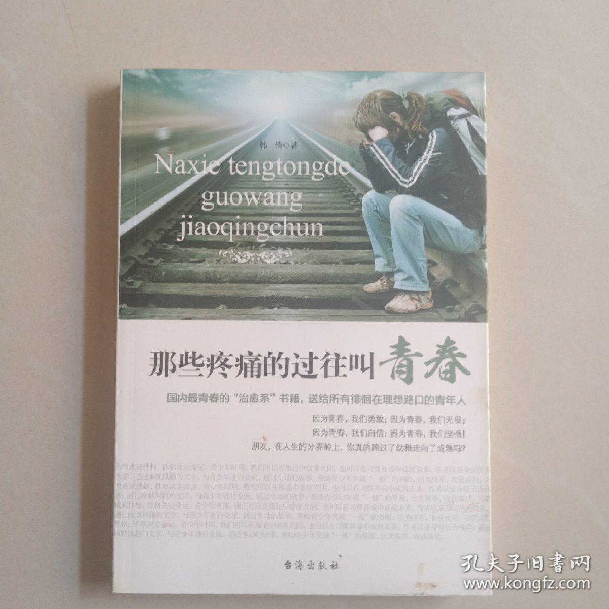 那些疼痛的过往叫青春：让年轻的你不再迷途