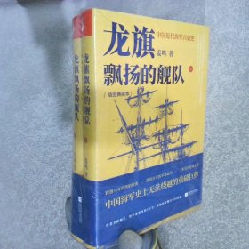 龙旗飘扬的舰队：中国近代海军兴衰史