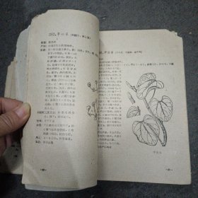 60年: 南宁市药物志 （第二辑）缺封皮.内容全 带有勘误表