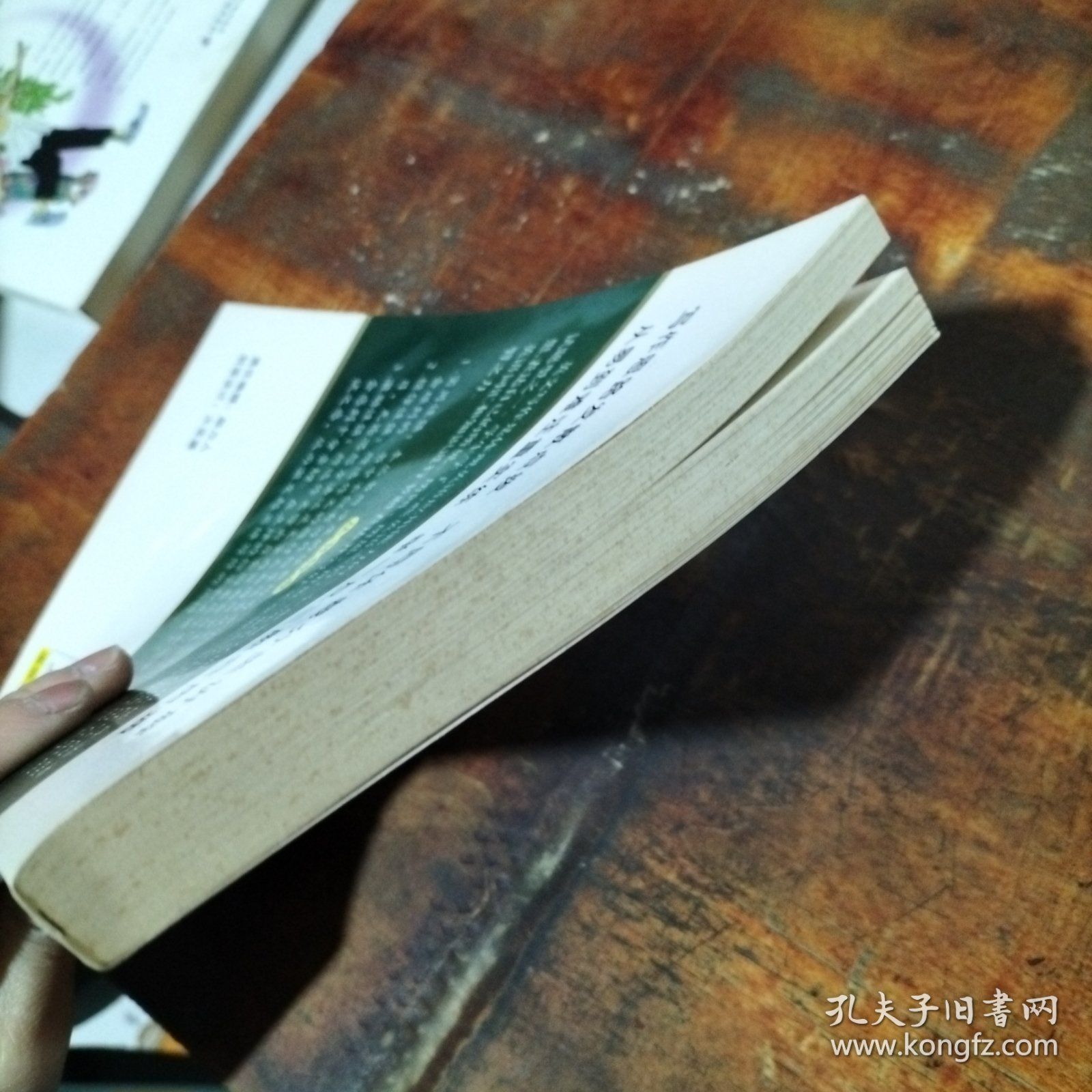 初中英语作文范文指导与仿写