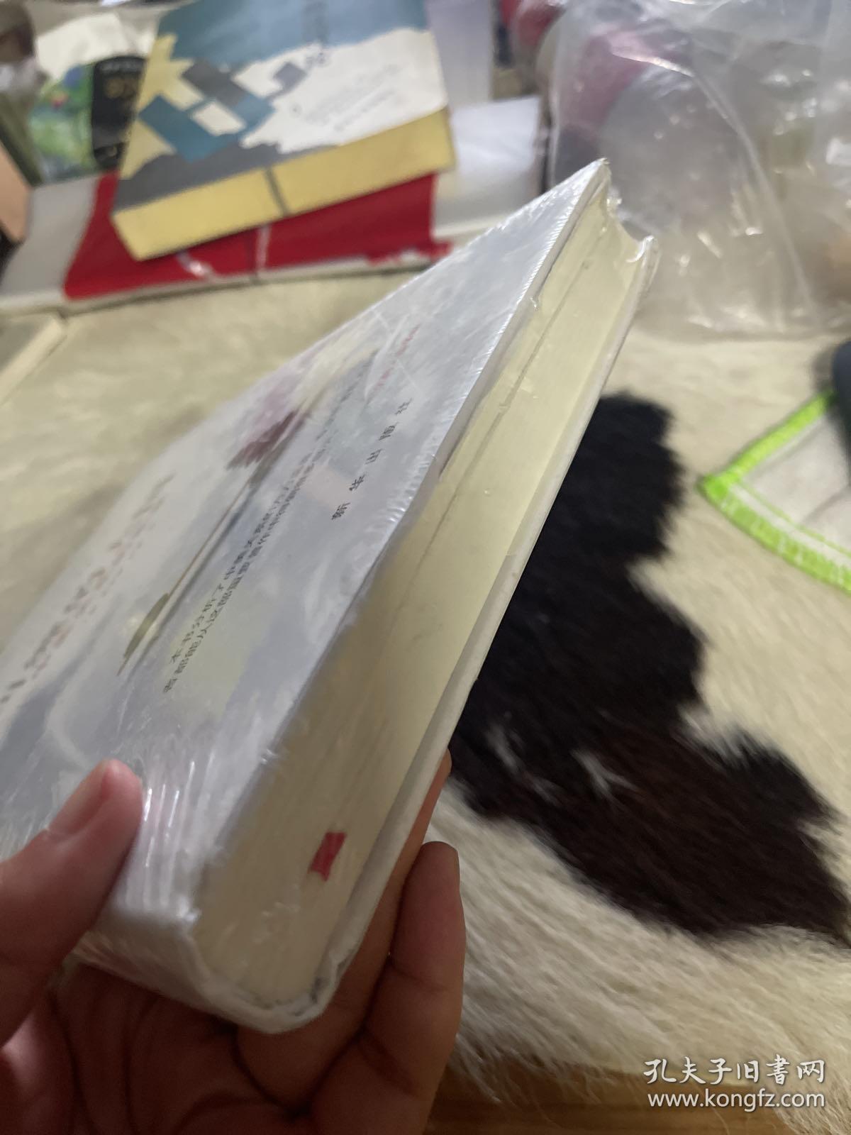 纠缠的大国：中美关系的未来