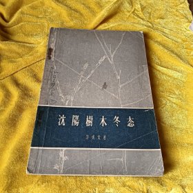 沈阳树木冬态