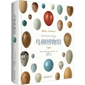 【正版书籍】鸟卵博物馆