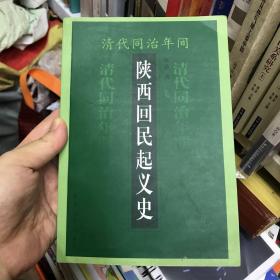 清代同治年间陕西回民起义史