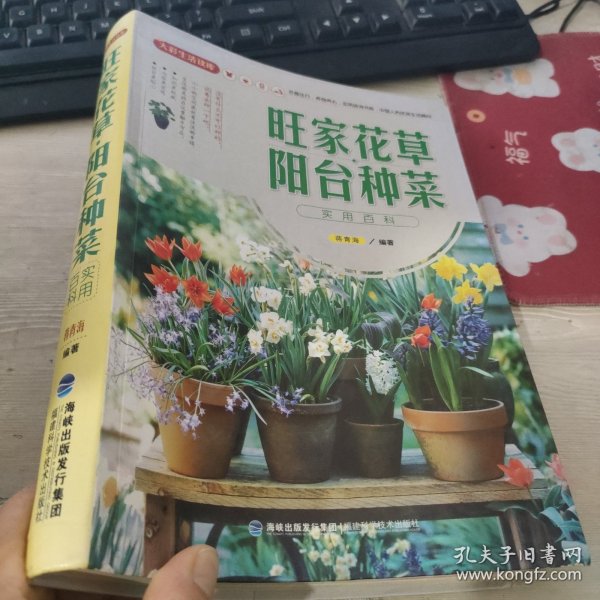 大彩生活读库：旺家花草、阳台种菜实用百科