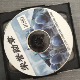 378光盘CD：电脑游戏CD荣誉勋章 2张光盘盒装