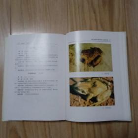 湖北省重点保护野生动物图谱    包邮挂