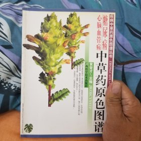 糖尿病 心脑血管病中草药原色图谱【疾病中草药原色图谱丛书】