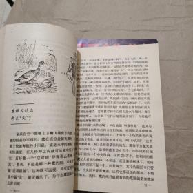 百万个为什么 盒装1--5册全