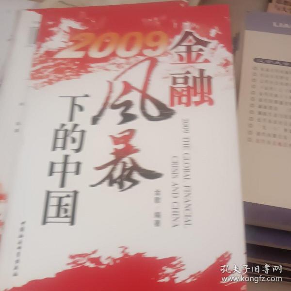 2009金融风暴下的中国