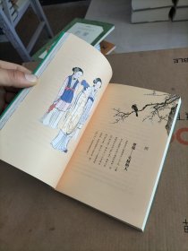 蒋勋说红楼梦（细说小人物）一本第三册