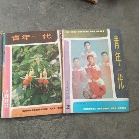 1982年青年一代杂志2本合售