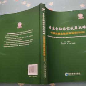 普惠金融国家发展战略:中国普惠金融发展报告(2016)