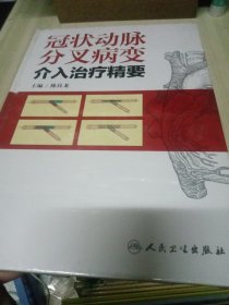 冠状动脉分叉病变介入治疗精要