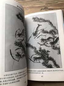 国画书籍 怎样画国画 适合初学者系统学习