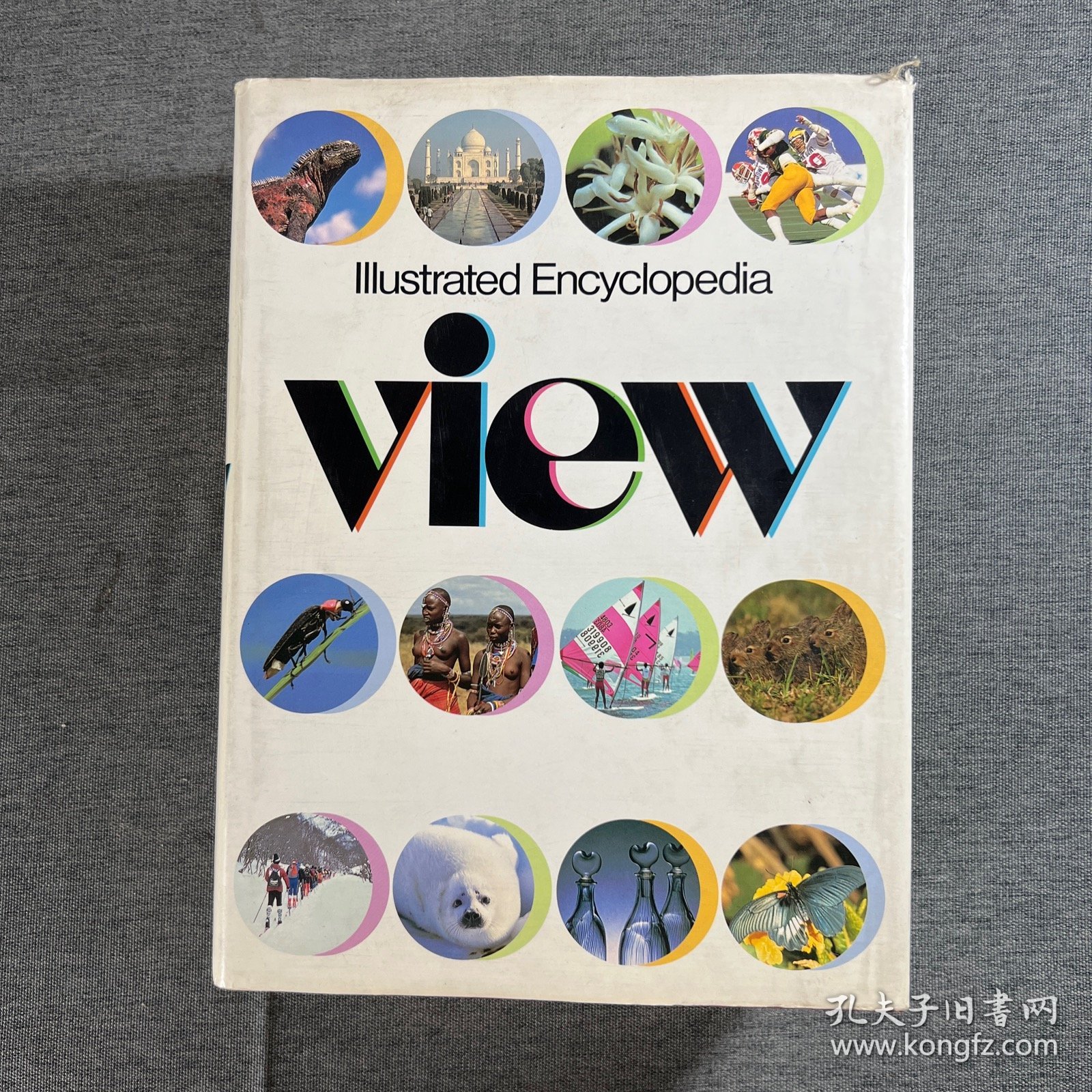 大図典View―Illustrated encyclopedia 【大16开精装 日文原版 带函套】