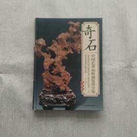 中国艺术品收藏鉴赏全集：典藏版 奇石（上卷）