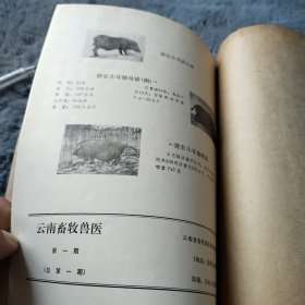 农科院藏书16开《云南畜牧兽医》1972年第一期创刊号，云南省畜牧兽医科学研究所，品好
