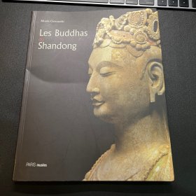 Les Buddhas du Shandong Musee Cernuschi 石雕佛造像 塞努奇博物馆