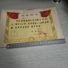 毕业证书   1965年