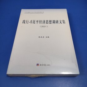 践行习近平经济思想调研文集