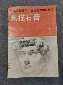 美术院校高考业余美术辅导作品素描石膏