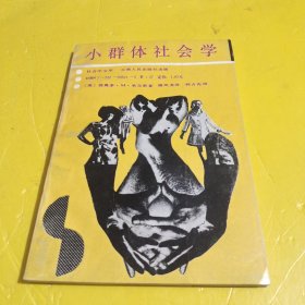 小群体社会学