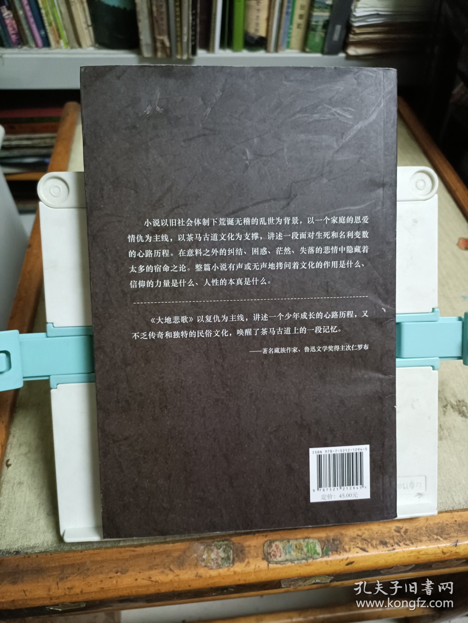 大地悲歌