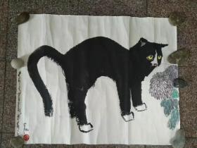 著名画家贾平西画猫精品