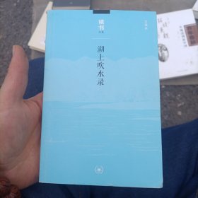 湖上吹水录