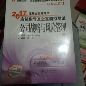 东奥会计在线 轻松过关1 2017年注册会计师考试教材辅导 应试指导及全真模拟测试：公司战略与风