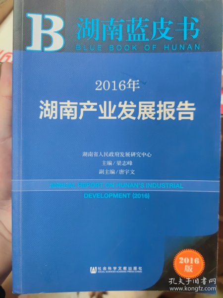 2016年湖南产业发展报告