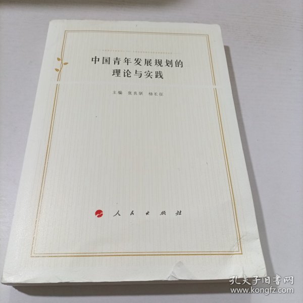 中国青年发展规划的理论与实践