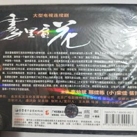 大型电视连续剧 雾里看花