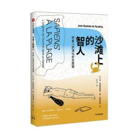 沙滩上的智人 带着人类演化史去度假