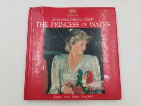 Debrett's Illustrated Fashion Guide: The Princess of Wales