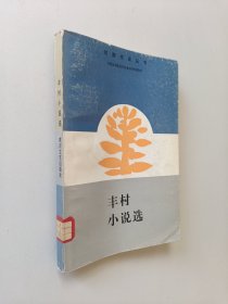 丰村小说选